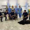 Cães da Guarda Municipal de Santos visitam a Santa Casa